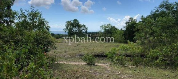 Terrain à Jimbaran, Indonesia 21000m² No. 3748 15