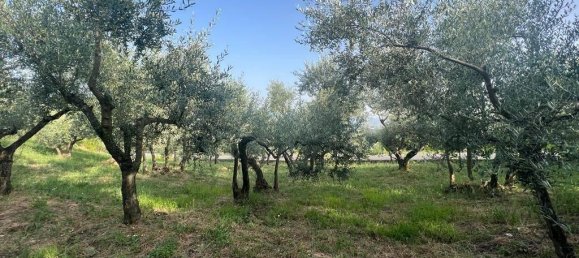 2 rooms House in Genazzano, Italy No. 112073 8