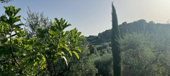 2 rooms House in Genazzano, Italy No. 112073 14