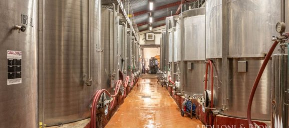 11 Schlafzimmer Gewerbliche Immobilie in Castellina in Chianti, Italy, Nr. 54531 15