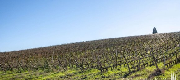 11 Schlafzimmer Gewerbliche Immobilie in Castellina in Chianti, Italy, Nr. 54531 46