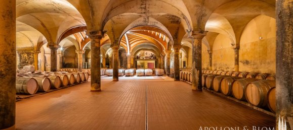 11 Schlafzimmer Gewerbliche Immobilie in Castellina in Chianti, Italy, Nr. 54531 10