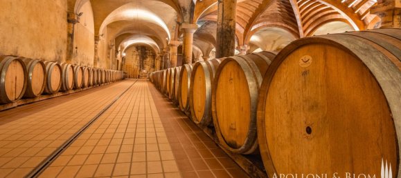 11 Schlafzimmer Gewerbliche Immobilie in Castellina in Chianti, Italy, Nr. 54531 11