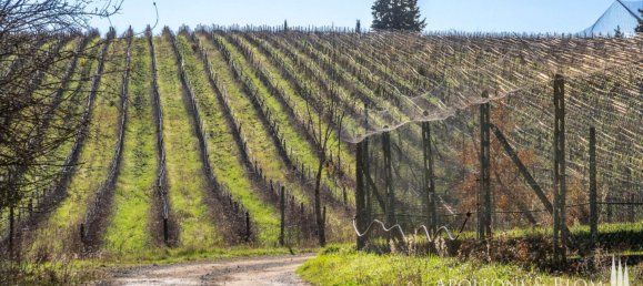 11 Schlafzimmer Gewerbliche Immobilie in Castellina in Chianti, Italy, Nr. 54531 47