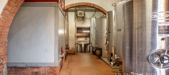 11 Schlafzimmer Gewerbliche Immobilie in Castellina in Chianti, Italy, Nr. 54531 14