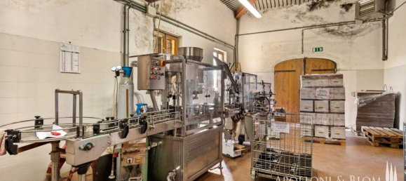 11 Schlafzimmer Gewerbliche Immobilie in Castellina in Chianti, Italy, Nr. 54531 17