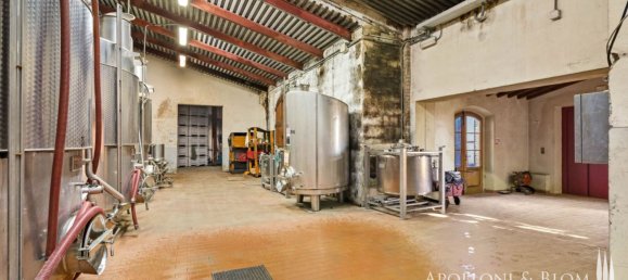 11 Schlafzimmer Gewerbliche Immobilie in Castellina in Chianti, Italy, Nr. 54531 16