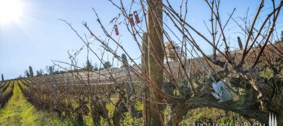 11 Schlafzimmer Gewerbliche Immobilie in Castellina in Chianti, Italy, Nr. 54531 45