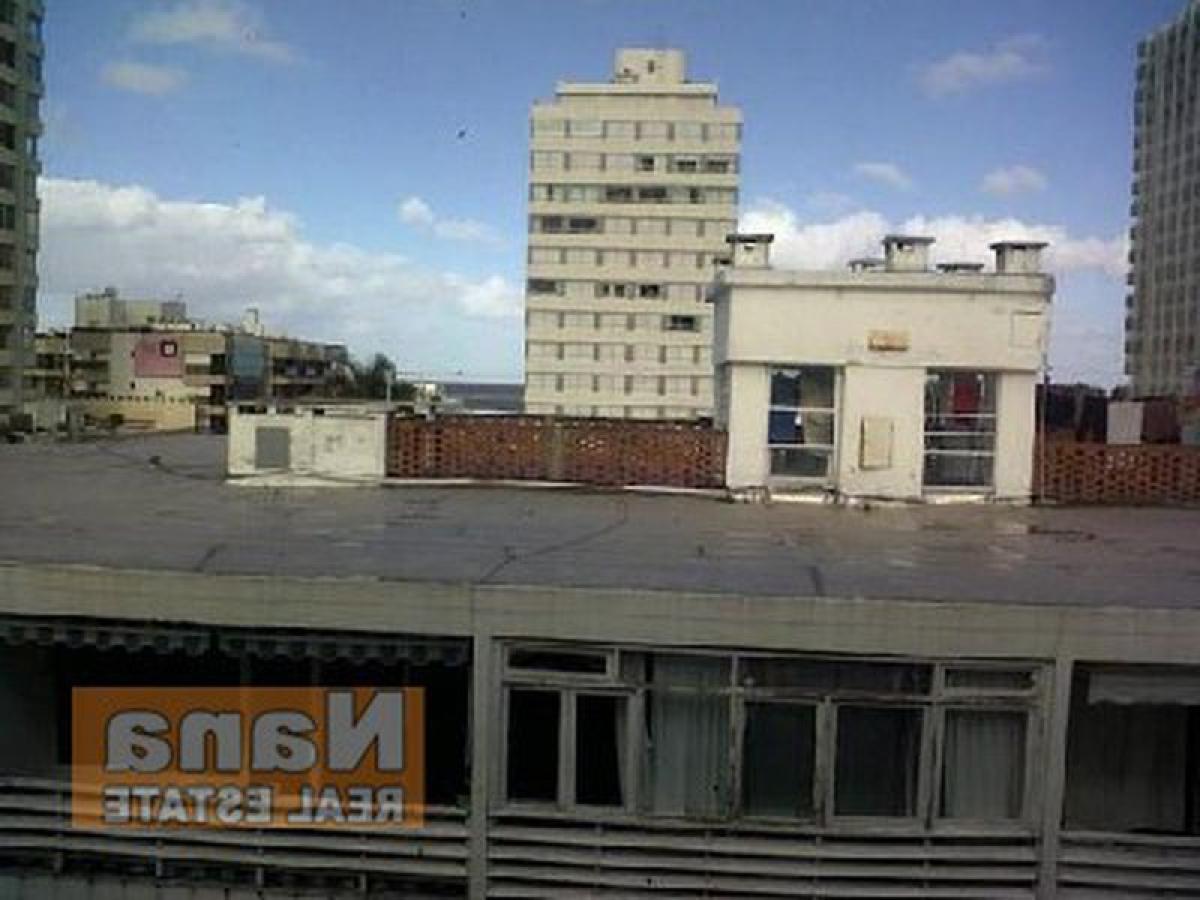 Studio in Maldonado, Uruguay No. 7634