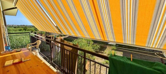 1 bedroom Apartment in Santa Maria del Cedro, Italy No. 261988 4