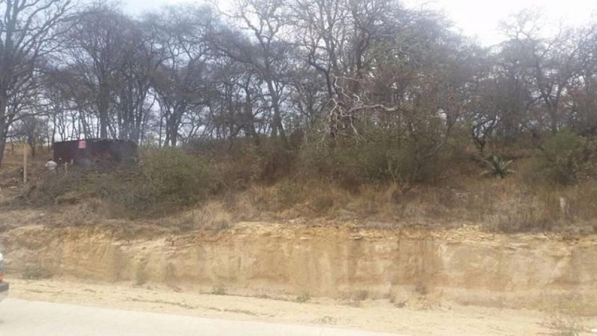  Land in Ciudad Lopez Mateos, Mexico No. 205011