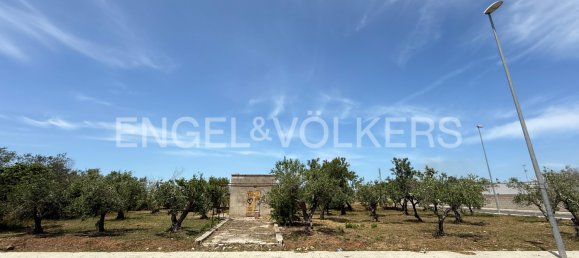 Land in Lecce, Italy No. 128066 2