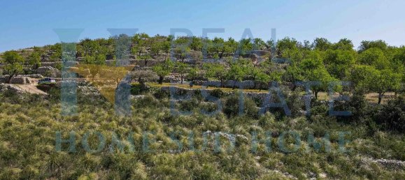 5 غرف نوم قطعة أرض في Noto, Italy رقم 90110 29