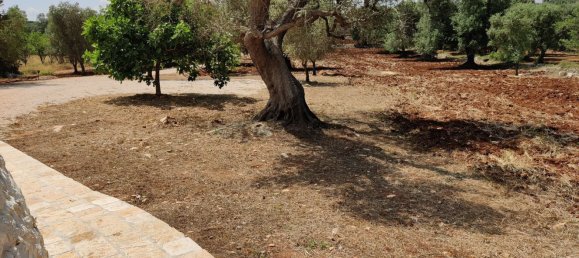 7 rooms Villa in San Vito dei Normanni, Italy No. 232101 36