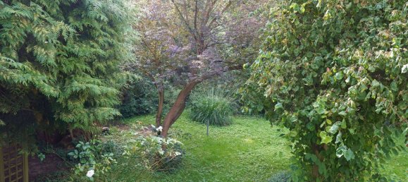 Дом с 6 спальнями в Рейн-Зиг, Германия № 184048 7