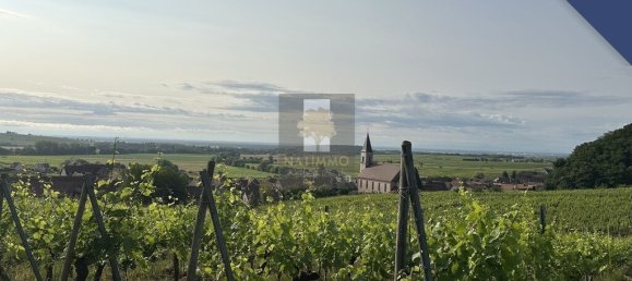  قطعة أرض في Bas-Rhin, France رقم 280458 4