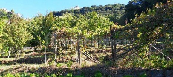 1 Schlafzimmer Haus in Nemi, Italy, Nr. 219373 13