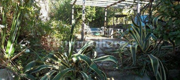 1 Schlafzimmer Haus in Nemi, Italy, Nr. 219373 15