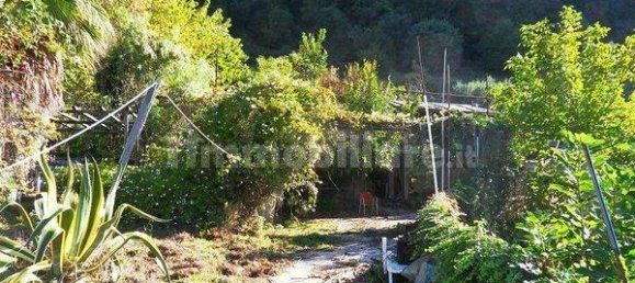 1 Schlafzimmer Haus in Nemi, Italy, Nr. 219373 9