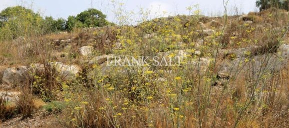 16860m² Land in Birzebbuga, Malta No. 13489 2