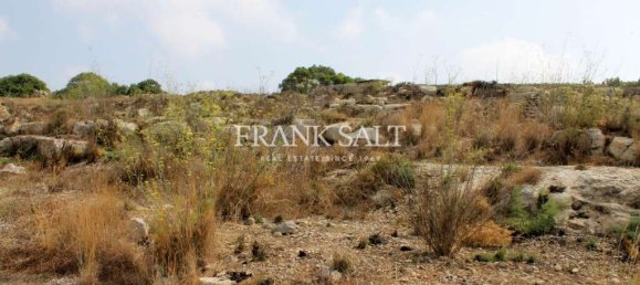 16860m² Land in Birzebbuga, Malta No. 13489 4