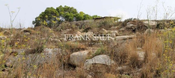 16860m² Land in Birzebbuga, Malta No. 13489 3