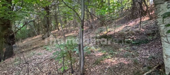 1 غرف نوم منزل في Paesana, Italy رقم 350539 2