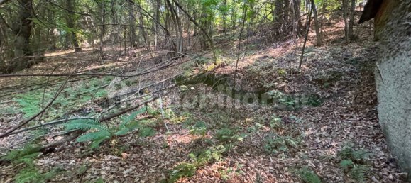 1 غرف نوم منزل في Paesana, Italy رقم 350539 7