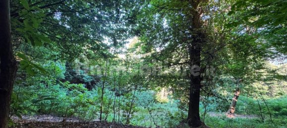 1 غرف نوم منزل في Paesana, Italy رقم 350539 9