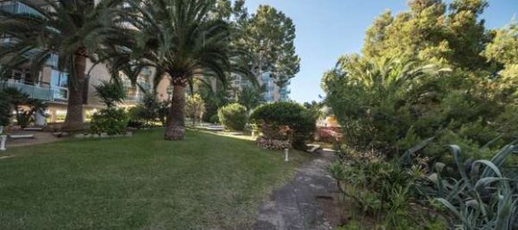 2 Schlafzimmer Wohnung in Mallorca, Spain, Nr. 25485 13