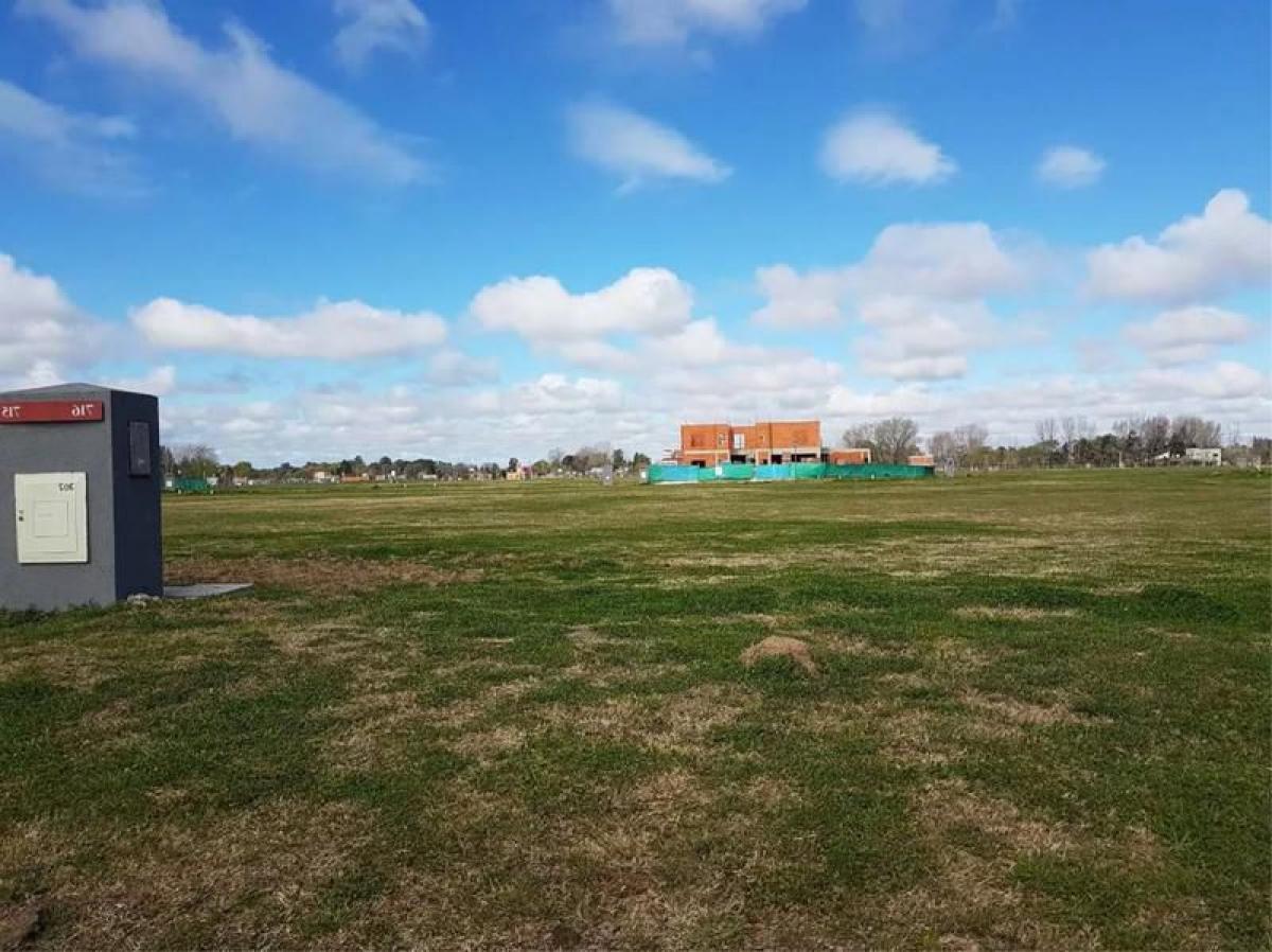 Grundstück in General Rodriguez, Argentina, Nr. 44878