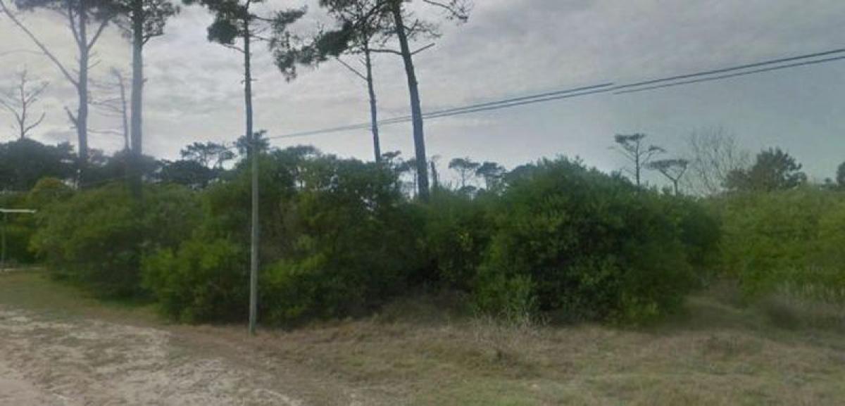 Land in Maldonado, Uruguay No. 15845