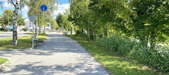 2-Zimmer Wohnung in Wels, Austria, Nr. 203294 13