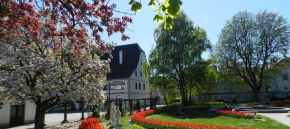 2-Zimmer Wohnung in Wels, Austria, Nr. 203294 16