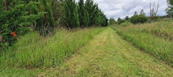 4 Schlafzimmer Haus in Saint-Aignan, France, Nr. 252353 5