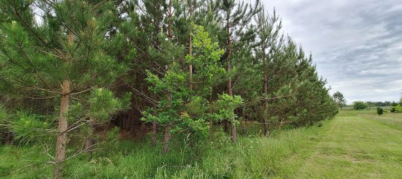 4 Schlafzimmer Haus in Saint-Aignan, France, Nr. 252353 8