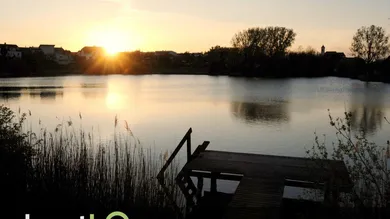 3 rooms House in Wimpassing an der Leitha, Austria No. 34643