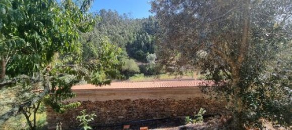 5 bedrooms Villa in Mortagua, Portugal No. 189850 40