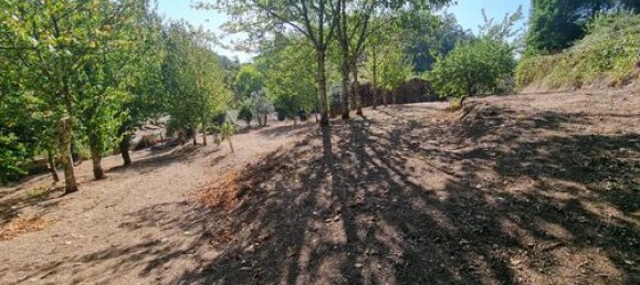 5 bedrooms Villa in Mortagua, Portugal No. 189850 42