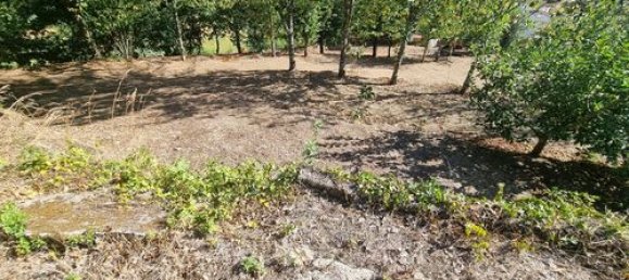 5 bedrooms Villa in Mortagua, Portugal No. 189850 44