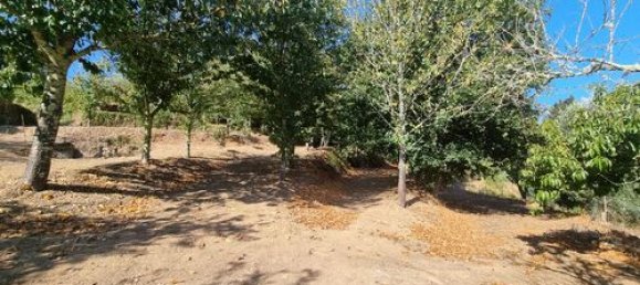 5 bedrooms Villa in Mortagua, Portugal No. 189850 39