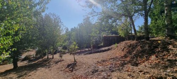 5 bedrooms Villa in Mortagua, Portugal No. 189850 45