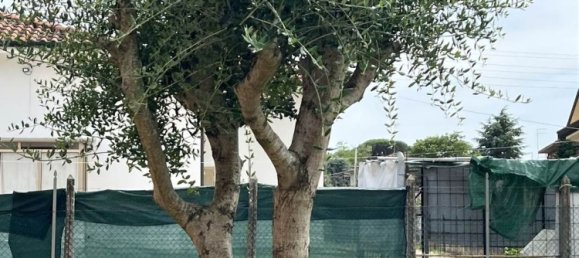 11 rooms Villa in Porto Viro, Italy No. 92148 5