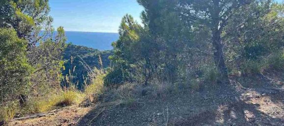 2-Zimmer Villa in Pollica, Italy, Nr. 266312 6