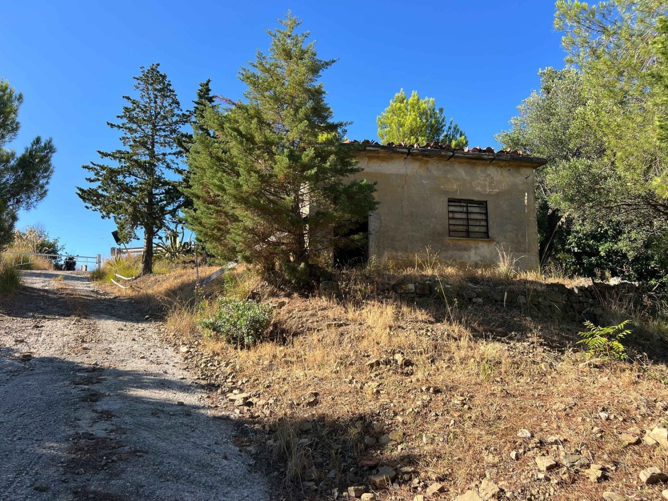 2-Zimmer Villa in Pollica, Italy, Nr. 266312