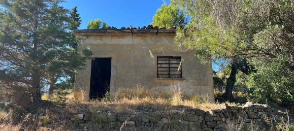 2-Zimmer Villa in Pollica, Italy, Nr. 266312 3