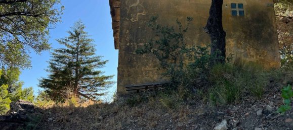 2-Zimmer Villa in Pollica, Italy, Nr. 266312 4