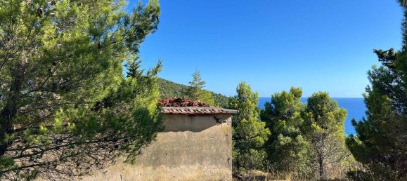 2-Zimmer Villa in Pollica, Italy, Nr. 266312 13