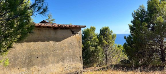 2-Zimmer Villa in Pollica, Italy, Nr. 266312 10