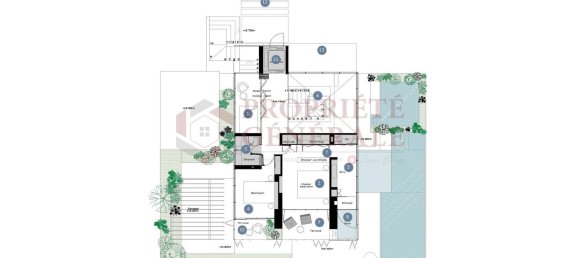 3 bedrooms Villa in Ribeira Brava, Portugal No. 136716 16